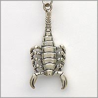 Scorpion Charm