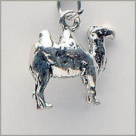 Camel Charm