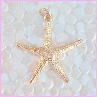 Starfish Charm 14k Y Gold