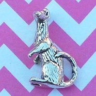 Ferret Charm