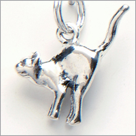 Cat  Charm - Arched