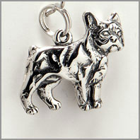 French Bull Dog Charm