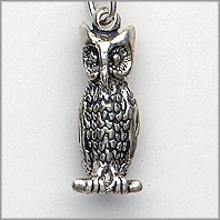 Owl Charm