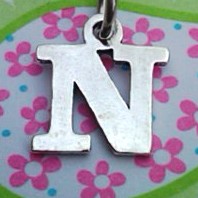 Greek Letter Nu Charm - Petite