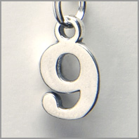 Number 9 Charm