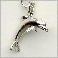 Dolphin Charm