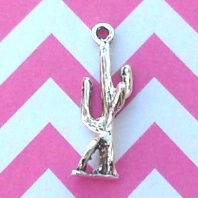 Cactus Charm